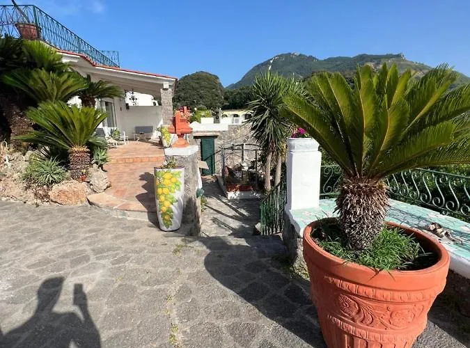 Blu Panorama Bed & Breakfast 3*