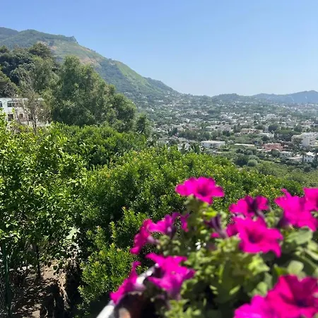 Bed & Breakfast Blu Panorama 3*