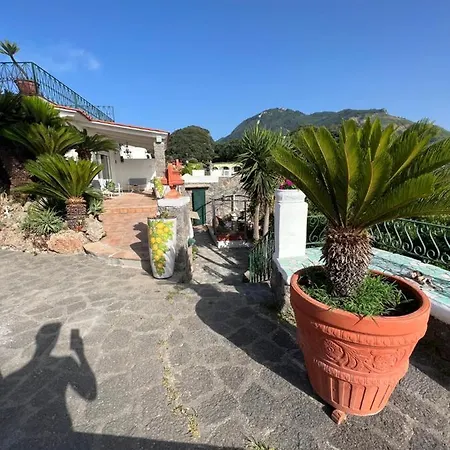 Blu Panorama Alojamento de Acomodação e Pequeno-almoço 3*