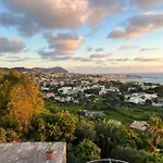 Oda ve Kahvaltı Blu Panorama 3*