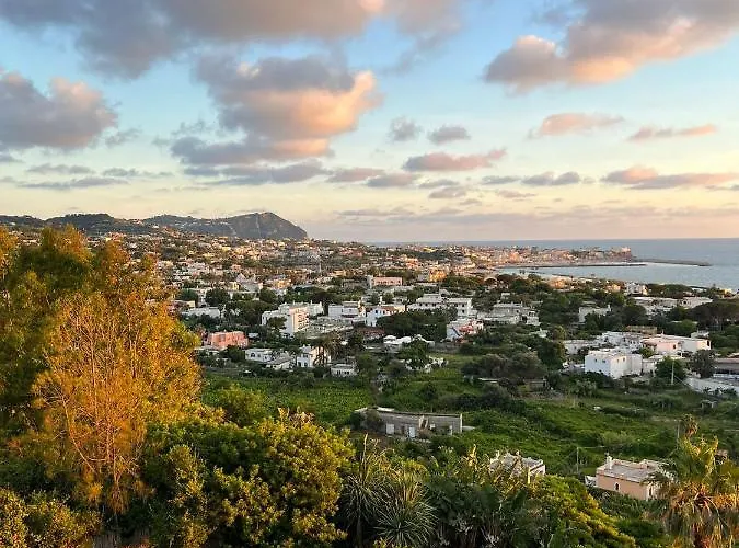 Nocleg ze śniadaniem Blu Panorama 3*