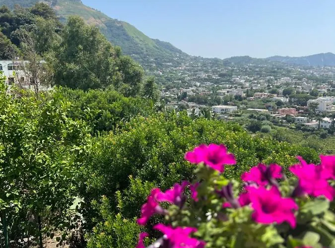 Nocleg ze śniadaniem Blu Panorama 3*